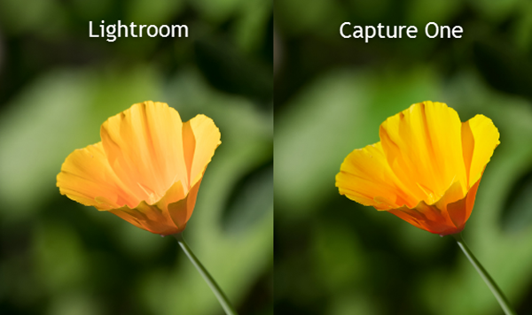 lightroom photo editing vs capture one