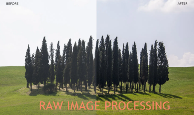 RAW Image Processing