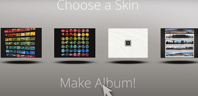 Skins to Choose from