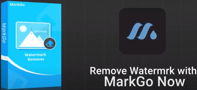 remove watermark from video without blur